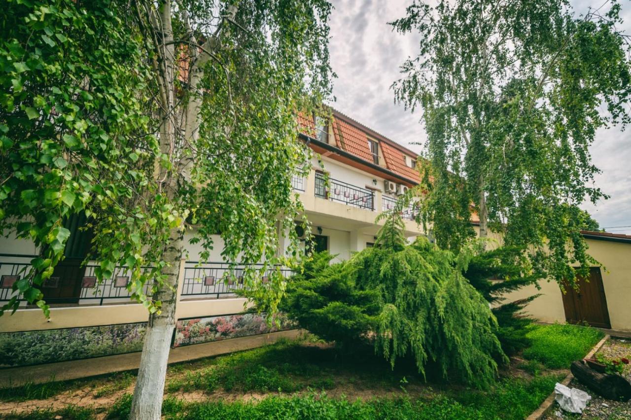 Hotel Amurg Eforie Sud  Esterno foto